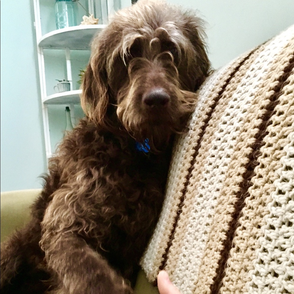 Meet your Posher, Tess
